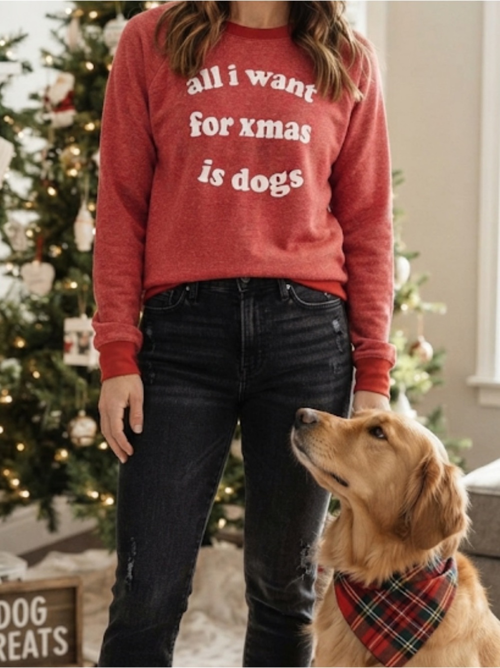 GRAYSON THREADS ‘All I Want For Xmas Is Dogs’ Sweatshirt Crewneck Small